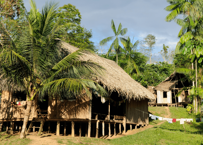 Amazonas_ El Pulmón del Mundo