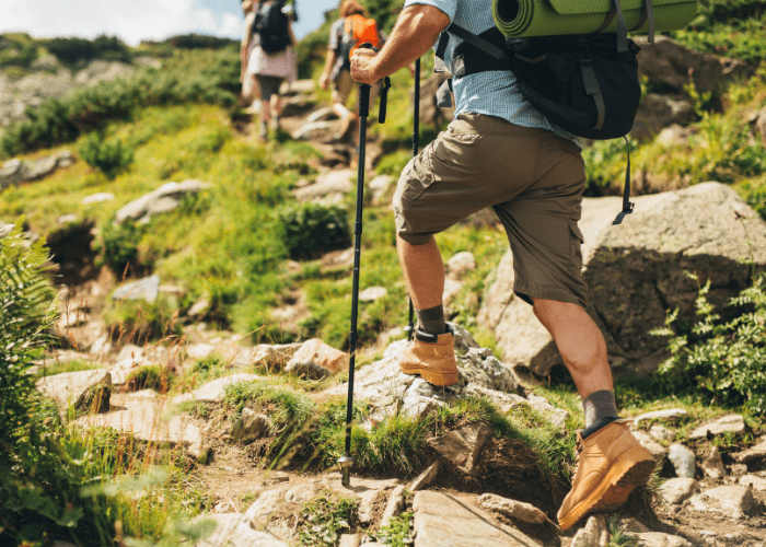 Cuáles son las actividades que se pueden realizar en el Ecoturismo