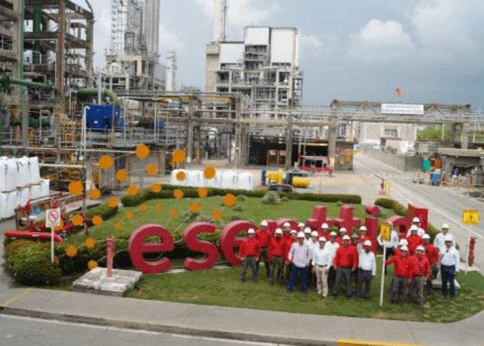 Empresas con SG-SST - ESSENTIA