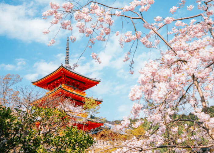Viaje de Boda_ Japón (Kyoto)